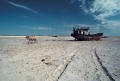 Aralsea.jpg
